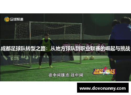 成都足球队转型之路：从地方球队到职业联赛的崛起与挑战