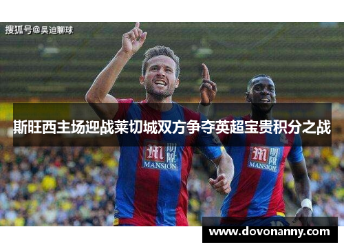 斯旺西主场迎战莱切城双方争夺英超宝贵积分之战